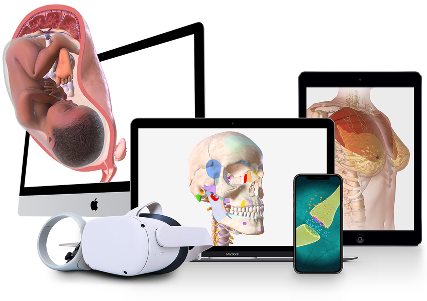 BioDigital — 3D Content Tools